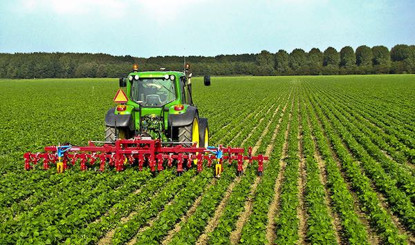 Agricoltura, anche in Umbria i sindacati sospendono lo sciopero