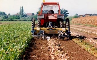 Agricoltura: dalla Regione Umbria circa un milione di euro per giovani agricoltori.