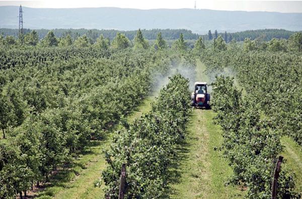 Pesticidi, i nuovi incubi