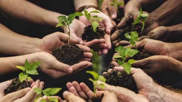 "Gli Orti Urbani tra agro-ecologia e paesaggi antropici" per la Giornata del Curatore