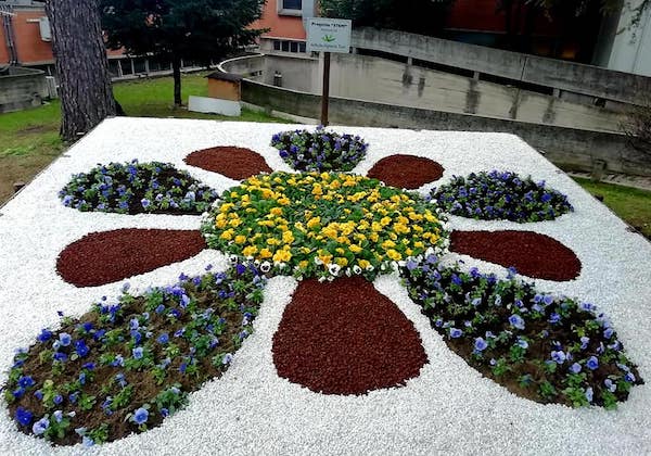 Una primula per gli operatori del S.Maria. Il dono in 3D dell'Agrario di Todi