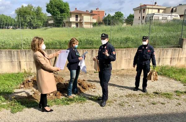 Messi a dimora tre alberi nel piazzale della Scuola Secondaria di Primo Grado di Ciconia