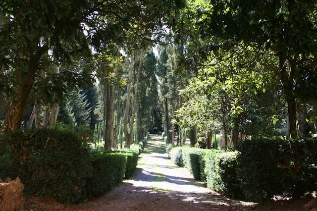 Disposizioni organizzative per lo screening sierologico nel Parco di Villa Paolina