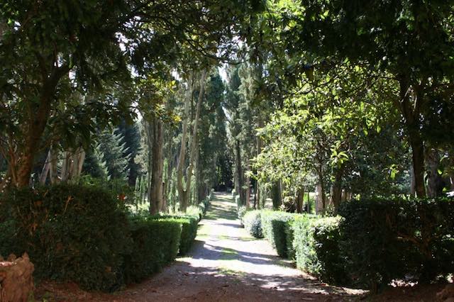 Denunciato per tentata violenza sessuale nel Parco di Villa Paolina