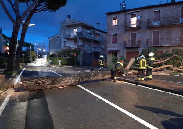 Chiusa al traffico Via Panaro per abbattimento e smaltimento dei tagli degli alberi d'alto fusto