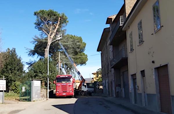Ripristinata la viabilità in Via Sant'Angelo dopo la caduta di un albero