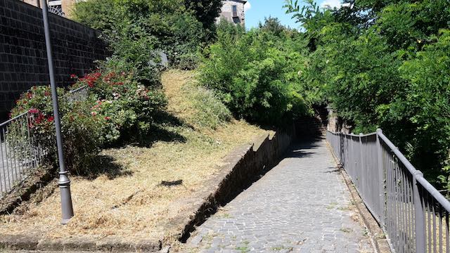 Erba alta e manutenzioni, "le segnalazioni che giungono al Comune vengono puntualmente evase"