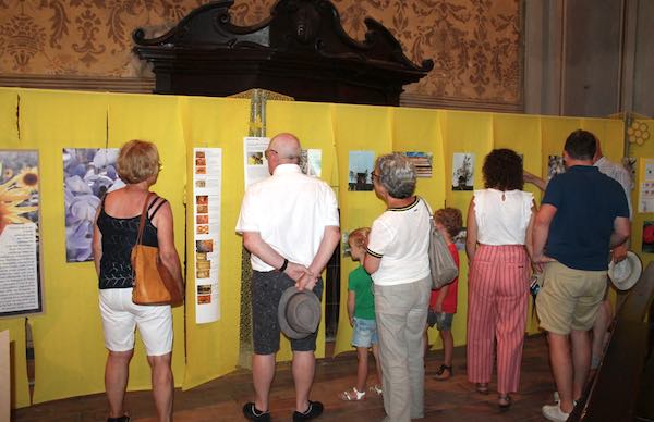 Prorogata fino al 31 agosto la mostra “Dai fiori al miele. Api, noi e il futuro del mondo”