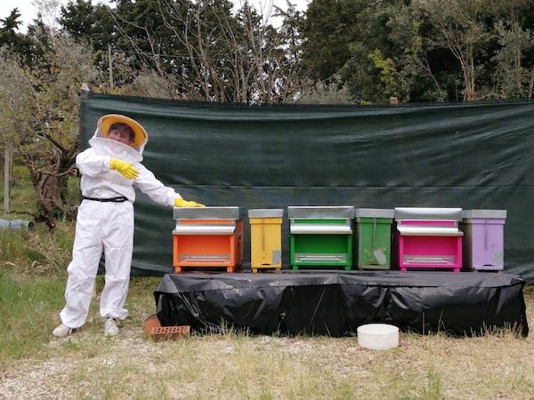 Alla Pro Ponte un settore curerà l'apicoltura