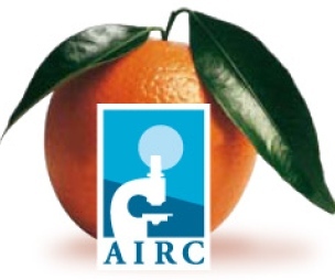 "Airc le arance della salute". Il maltempo non ferma la vendita delle reticelle