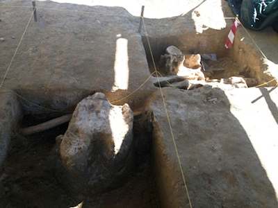Scoperte archeologiche a Vetriolo e Castel Cellesi. Una fornace romana e un elephant dell'et&agrave; paleolitica