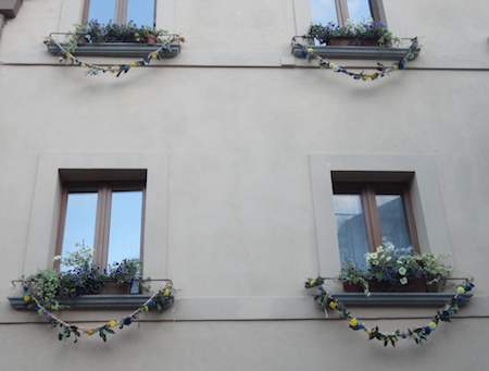 "Orvieto in fiore" piace e anima la città. I vincitori del concorso dei balconi e delle vetrine fiorite