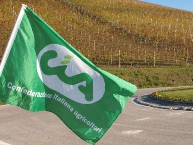 Fotovoltaico, CIA chiede di fermare il progetto. "Un ecomostro che stravolgerebbe lo stato naturalistico, territoriale e produttivo"