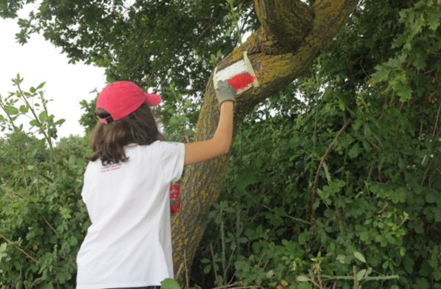 "Dalla Scuola al Bosco 2018", per il quarto anno riparte il progetto del CAI