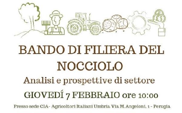 "Bando di filiera del nocciolo. Analisi e prospettive di settore"