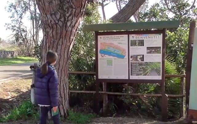 Nuovo video di Francesco Barberini all'Oasi WWF del Lago di Burano