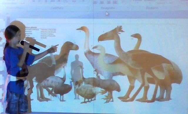 Francesco Barberini. Nuovo video e conferenza su "Gli uccelli, i dinosauri di oggi"