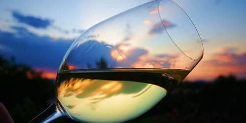 De vino