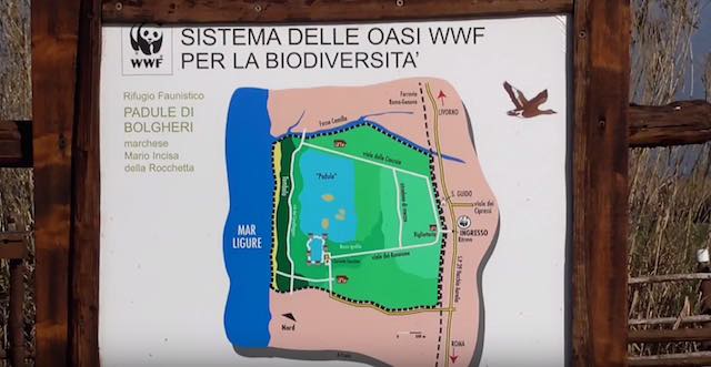 Nuovo video per il WWF di Francesco Barberini, classe 2007, aspirante ornitologo in Toscana