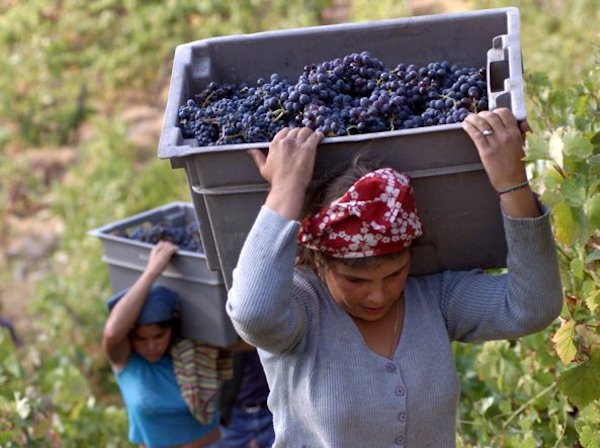 "L'8 Marzo scioperiamo! Nel mondo del lavoro e non solo, le più penalizzate sono le donne"