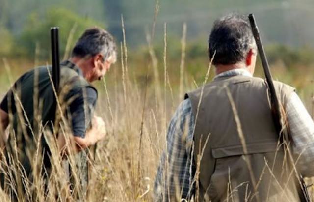 Nel Lazio consentita la caccia di selezione ai cinghiali