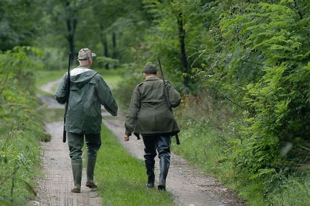 Caccia al Cinghiale: squadre pronte al ricorso al Tar, intanto "Partirà la Stagione"