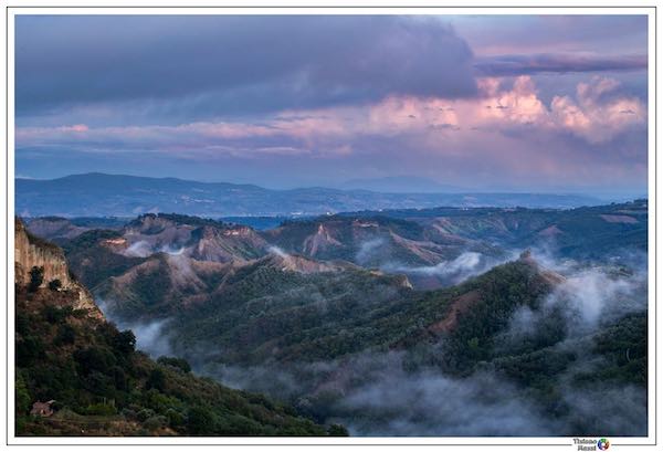 Concorso fotografico "Biodiversità della Valle dei Calanchi. Il Paradiso delle Api"