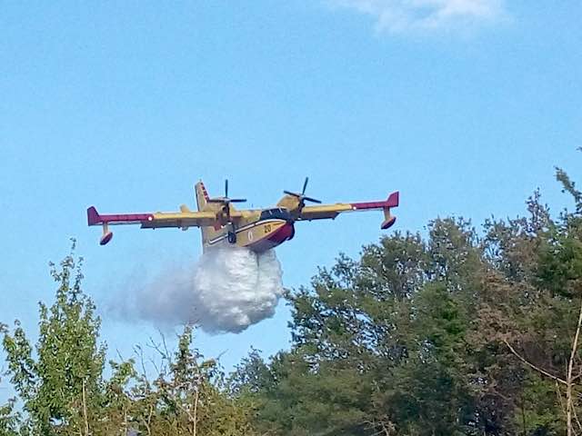 Incendio su più fronti nelle campagne di Ficulle, Canadair in volo 