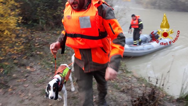 Acqua alta del Chiani, i Vigili del Fuoco recuperano due cani intrappolati