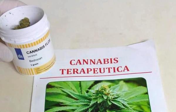 Cannabis terapeutica, il Ministero conferma l'aumento di produzione ad uso medico