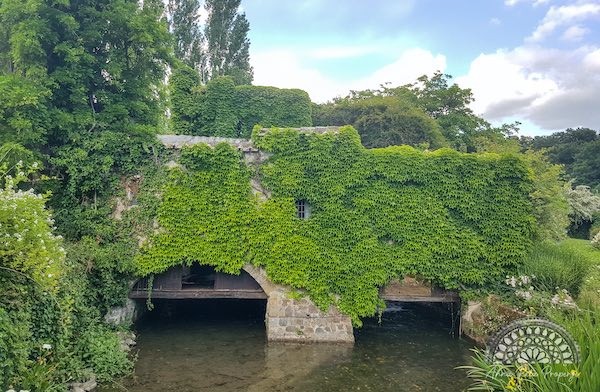 "Ritorno alla Bellezza". Visita al Giardino della Cannara e al Borgo dei Pescatori