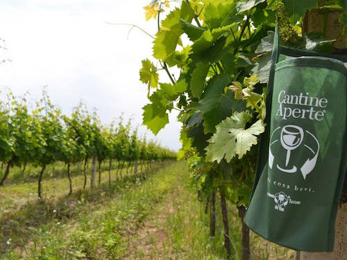 Per "Cantine Aperte" modifiche alla circolazione sulla strada vicinale del Romitorio