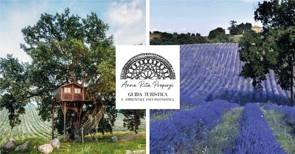 La casa sulla quercia pluricentenaria. Percorso sensoriale tra i campi di lavanda