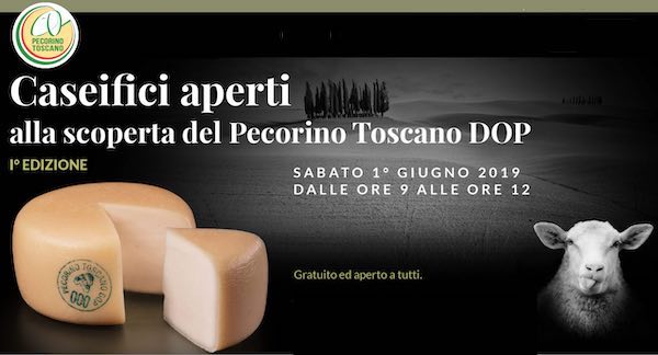 Debutta "Caseifici Aperti". In assaggio, il Pecorino Toscano DOP