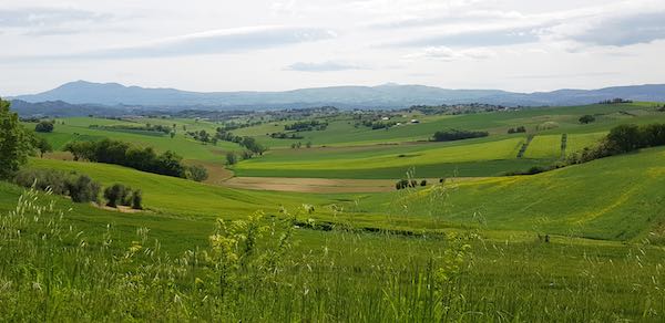 L'Unesco premia chi ha dimostrato sensibilità e cura del paesaggio