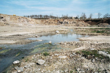 Un vasto cartello di associazioni ambientaliste a difesa della falda acquifera dell'Alfina: un esposto-denuncia sull'attività della cava di Acquapendente