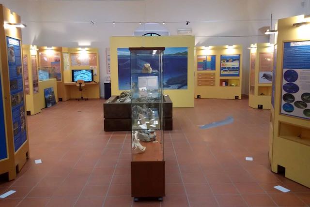 Nuovo allestimento per il Museo dei Cicli Geologici. Quando in Umbria c'era il mare