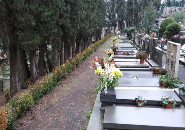 Erbe infestanti nei cimiteri comunali, via al calendario di trattamenti essiccanti