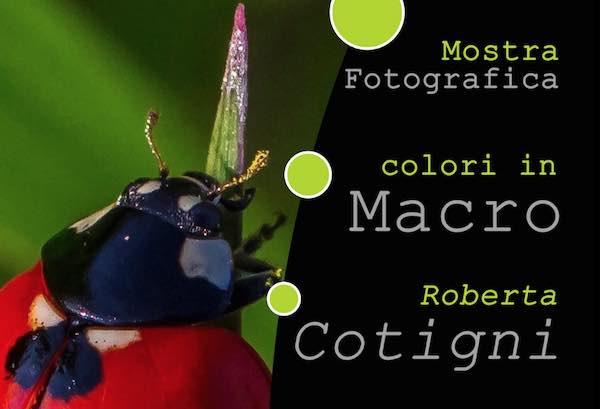 "Colori in Macro". In mostra gli scatti naturalistici ambientati nella Valle del Paglia