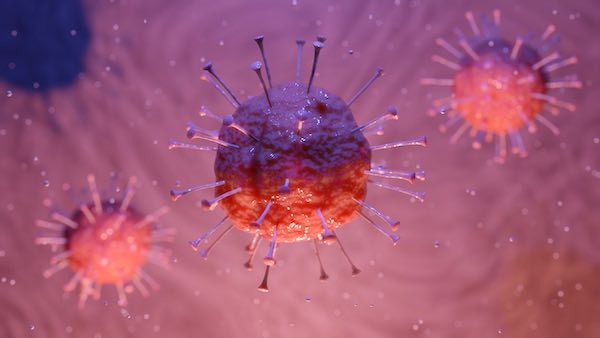 Coronavirus, accertati due nuovi casi a Città della Pieve