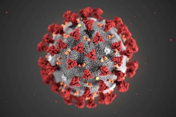 Coronavirus, i controlli sui familiari dell'infermiera sono negativi