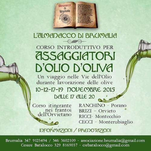 Corso introduttivo per assaggiatori di olio di oliva. Un viaggio nelle vie dell'olio durante la lavorazione