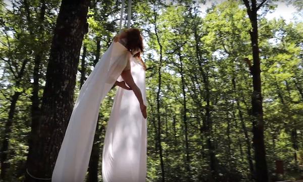 "Le Cirque de la Forêt". Danza aerea tra le fronde, secolari e high tech
