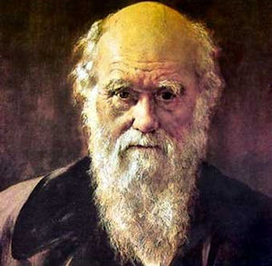 12 Febbraio 1809, nasceva Charles Darwin. Il bicentenario per riflettere sul futuro della scienza