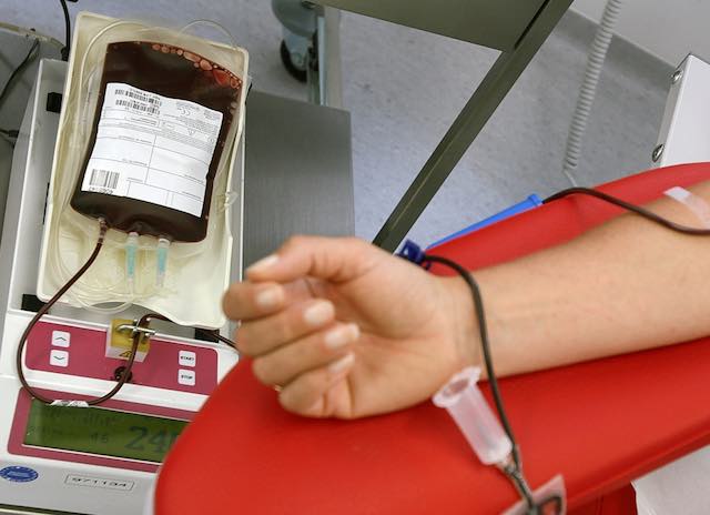 Coronavirus, "nessun rischio per i donatori di sangue"