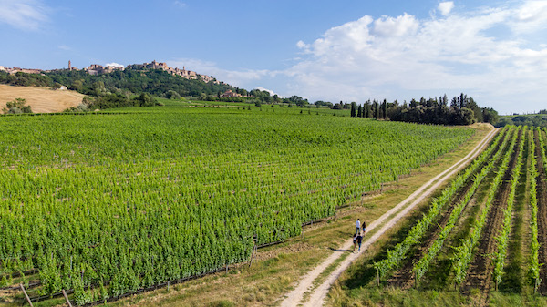 Turismo esperienziale sulle Strade del Vino, online il portale di prenotazione delle attività turistiche della Toscana