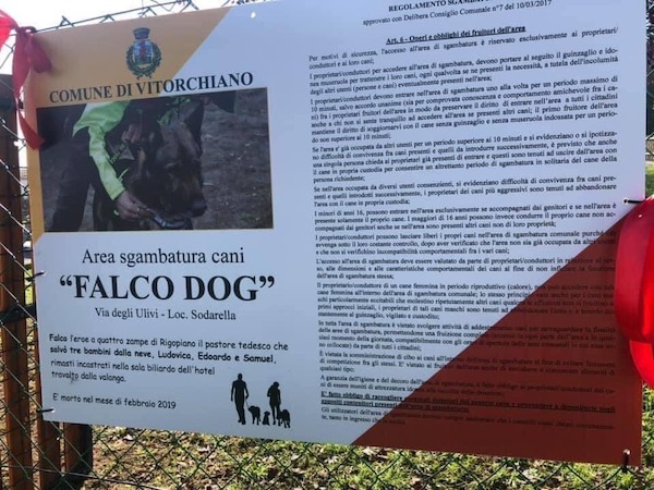 Proseguono le iniziative a favore degli animali. Attiva la campagna di adozioni dei cani 