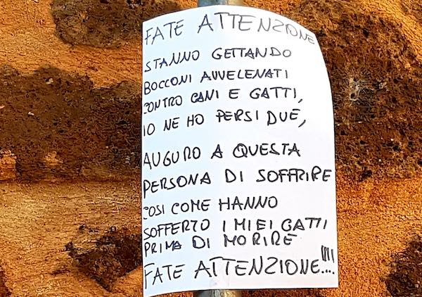 Ancora bocconi avvelenati, muoiono felini nel Quartiere Medievale