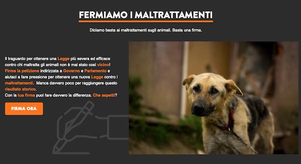 Cane trascinato con l'auto e ucciso, denunciato un uomo. Lav: "Necessarie pene più severe"