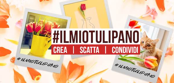 La Festa del Tulipano vive con i social. "TulipanoGames" tra le cinque contrade